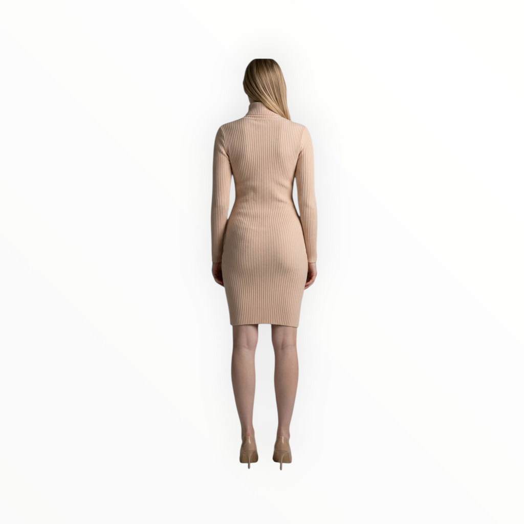 Woman's polo neck winter dress