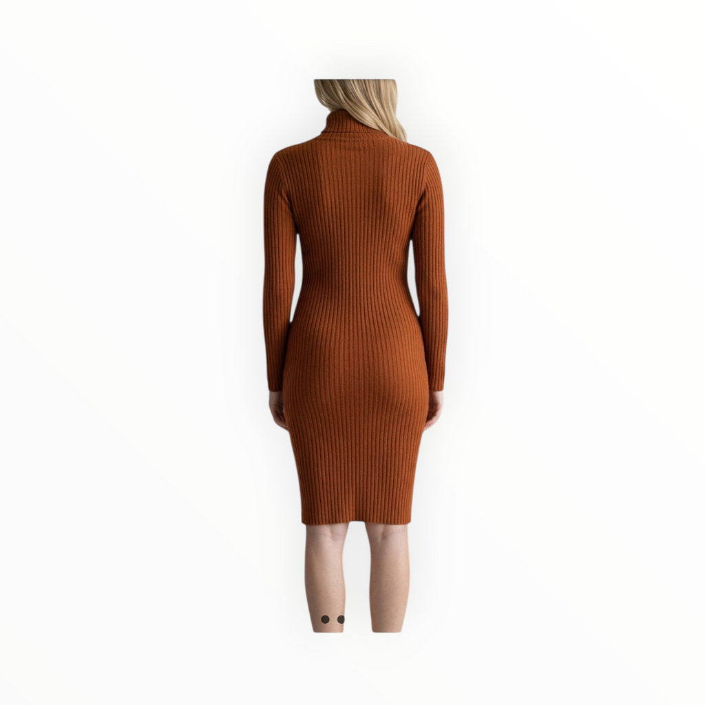 Woman's polo neck winter dress