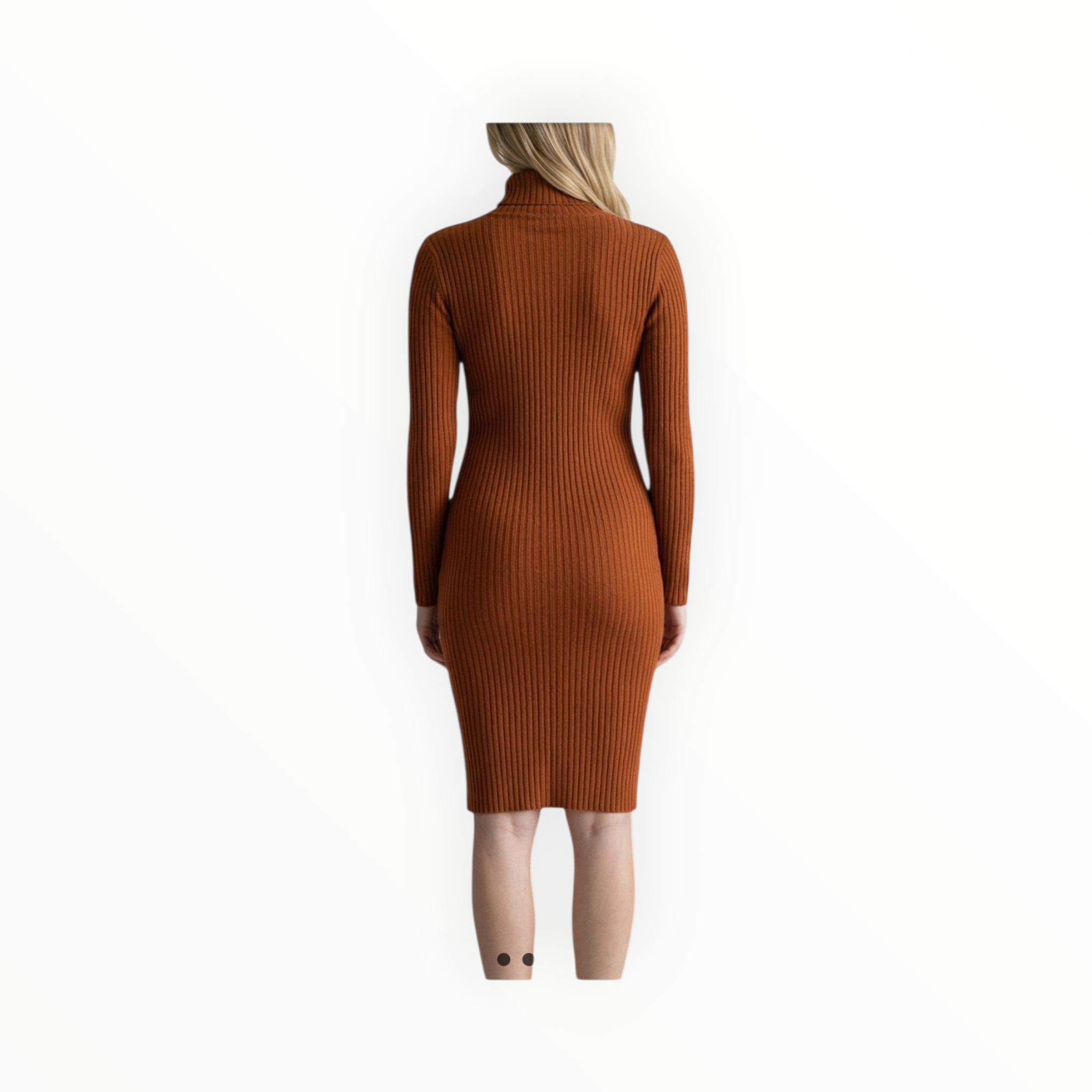 Woman's polo neck winter dress