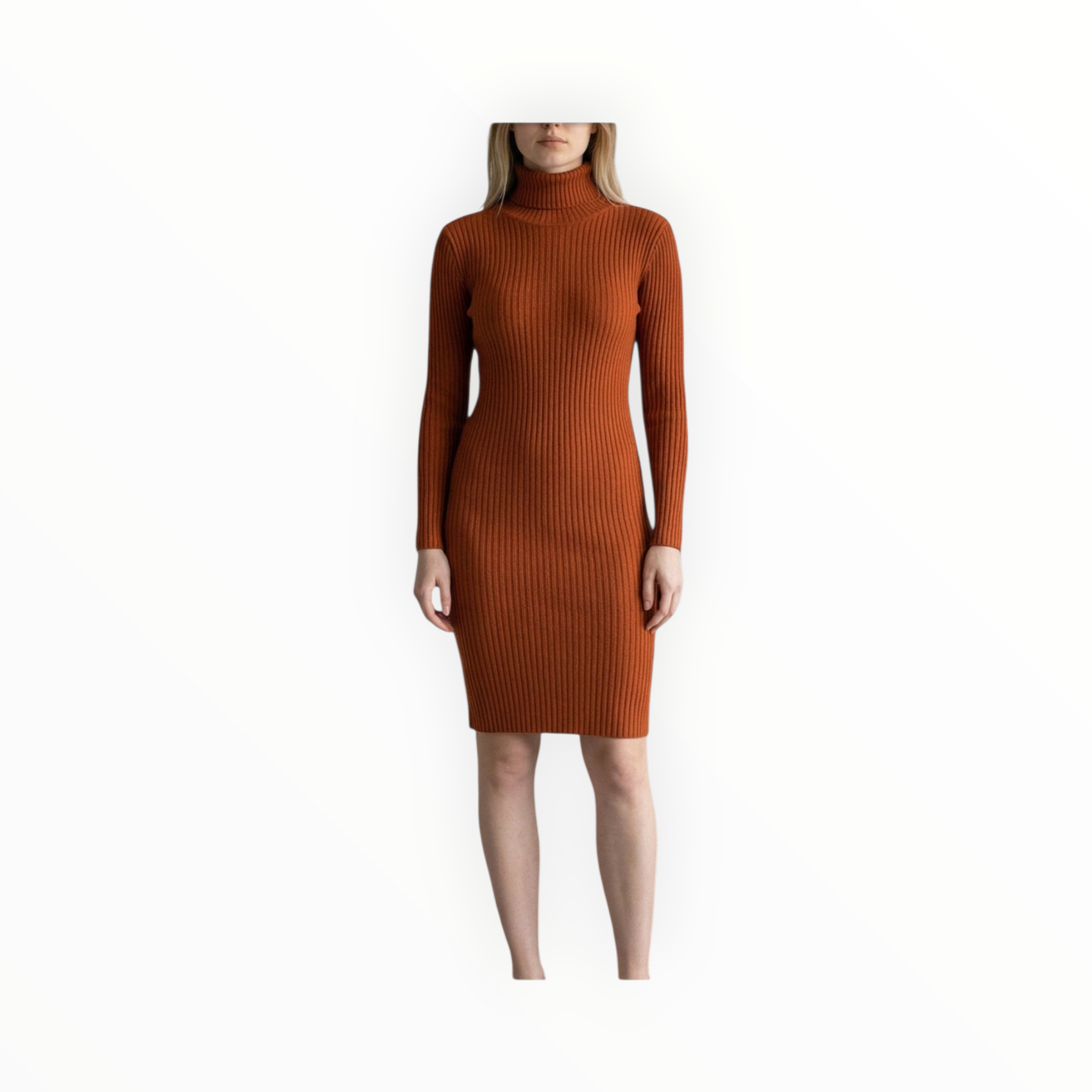 Woman's polo neck winter dress